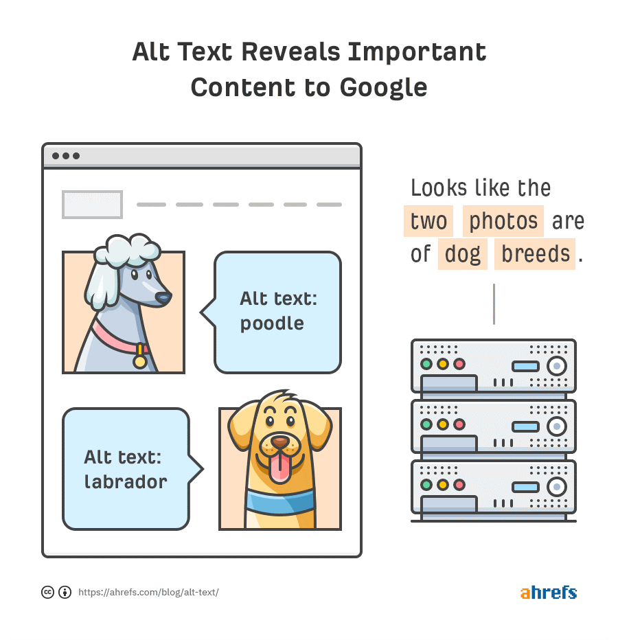 Enterprise SEO Audit - Optimize images